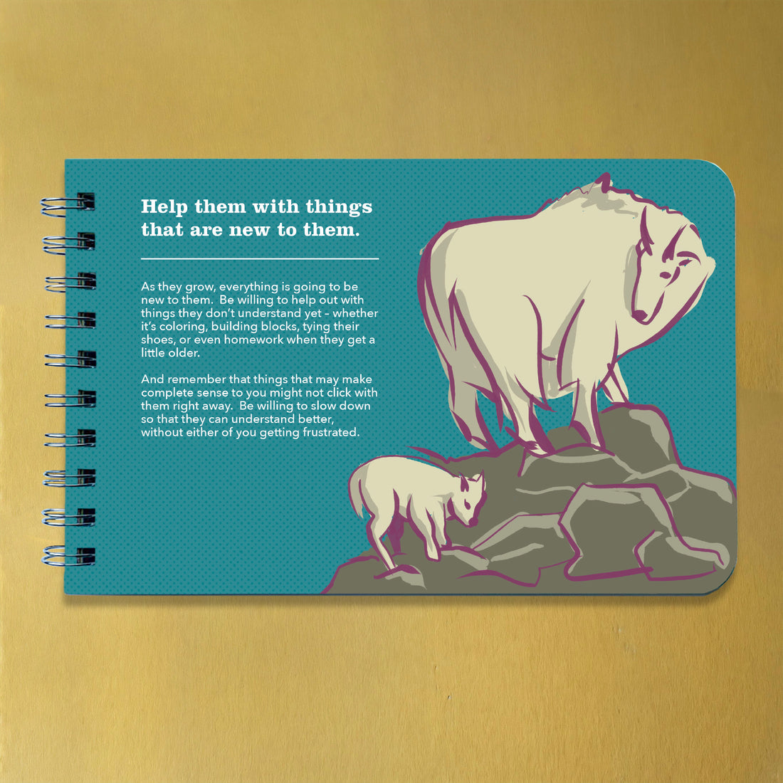 Being a Big Sister - Guidance and Advice for Big Sisters