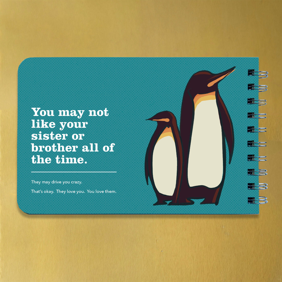 Being a Big Sister - Guidance and Advice for Big Sisters