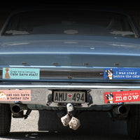 “I Work Hard So My Cat Can Have a Better Life” Bumper Sticker