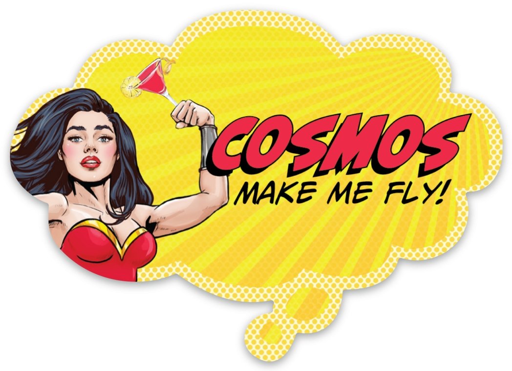 Cosmos Make Me Fly! Funny Pop Art Sticker