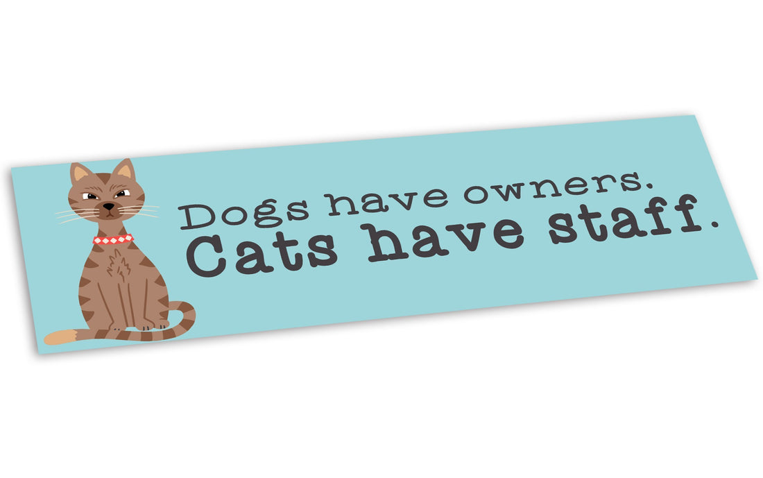 “Dogs Have Owners Cats Have Staff” Cat Bumper Sticker